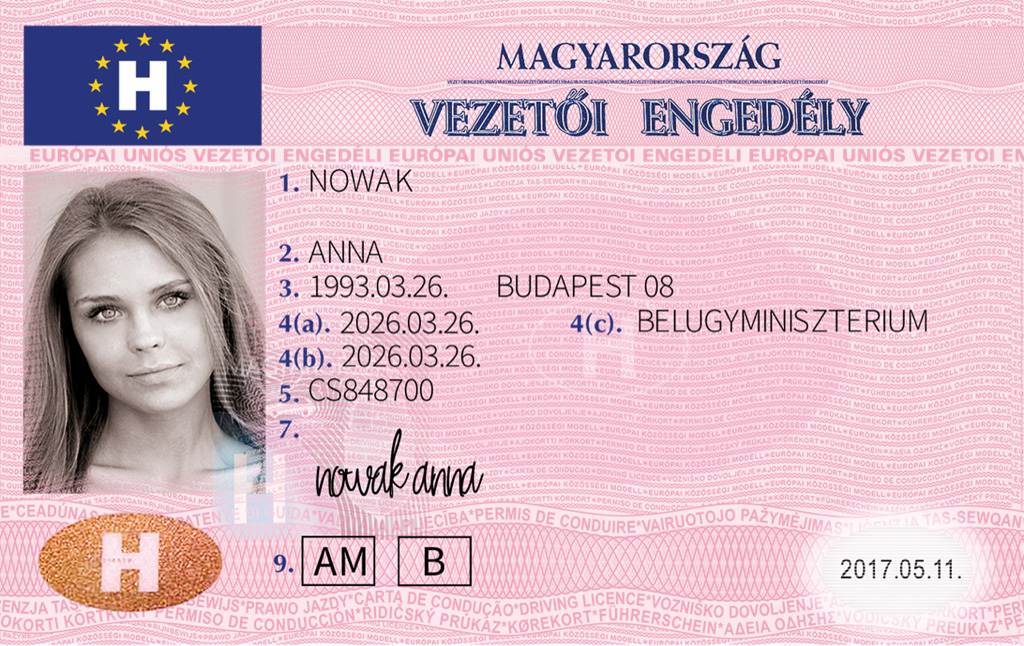 Vezetői engedély megengedett a schengeni övezetben